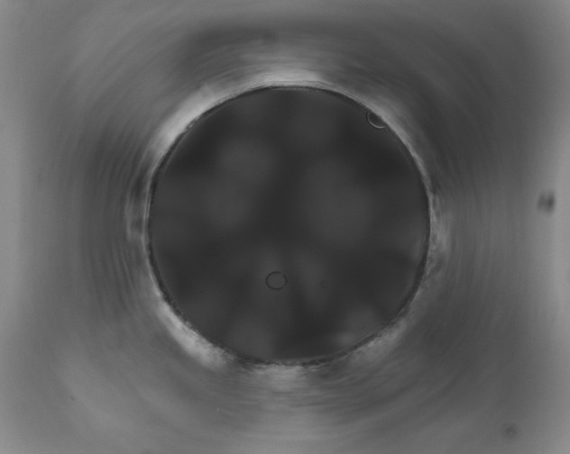 X0000111911245200908241019