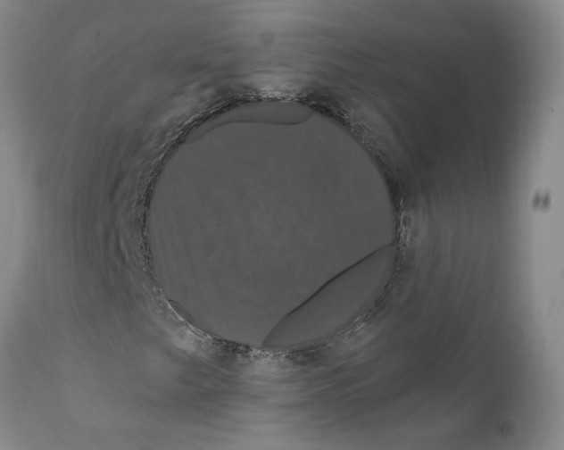 X0000111911249200908241019