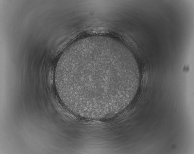 X0000111911250200908241019