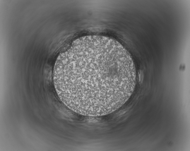 X0000111911251200908241019