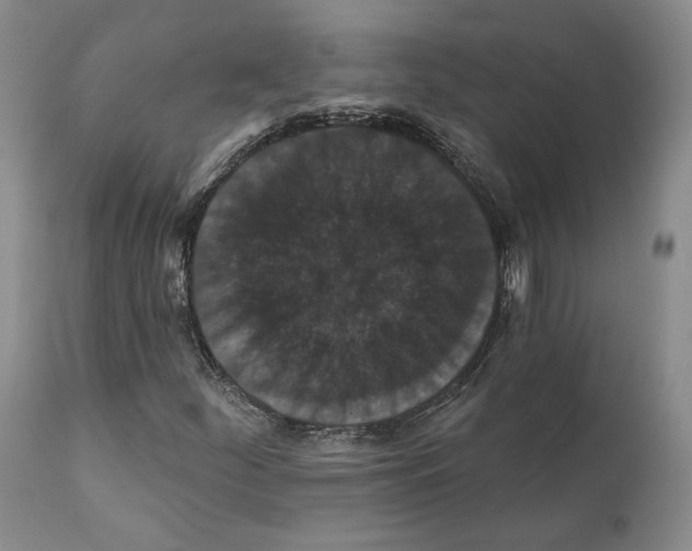 X0000111911252200908241019