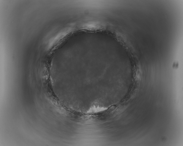 X0000111911253200908241019