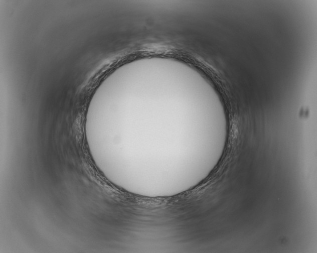 X0000111911254200908241019