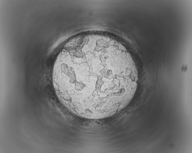 X0000111911255200908241019