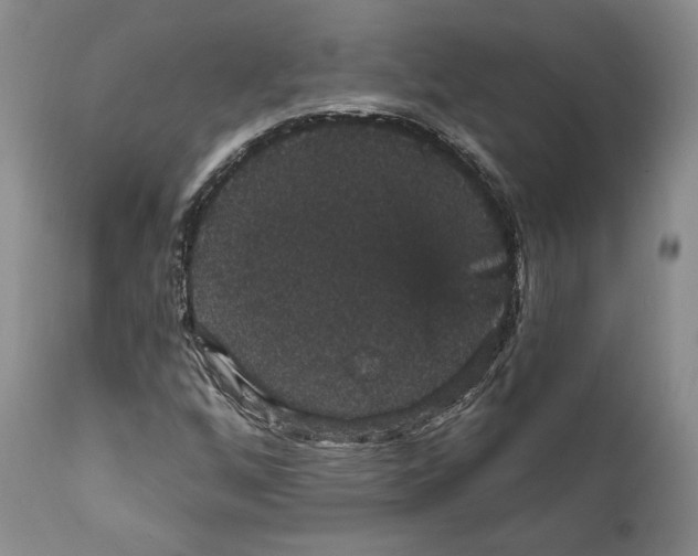 X0000111911256200908241019