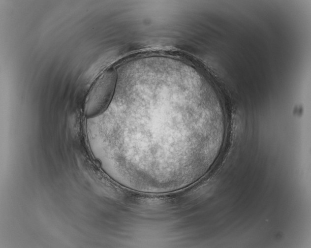 X0000111911257200908241019