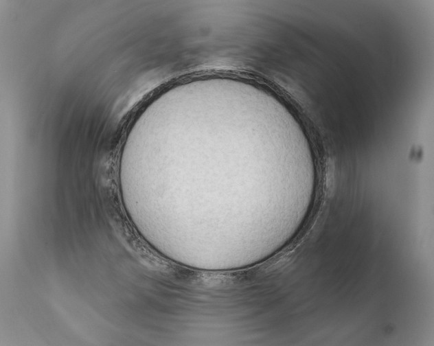 X0000111911258200908241019
