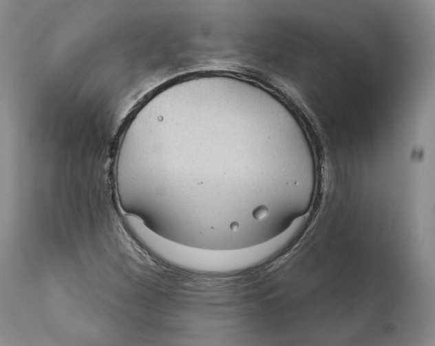 X0000111911260200908241018
