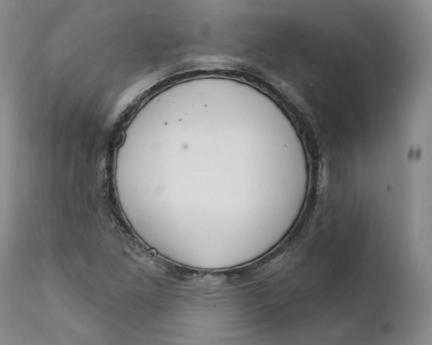 X0000111911261200908241018