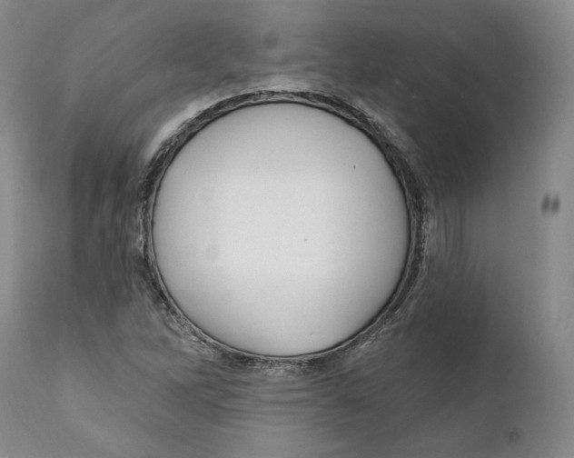 X0000111911262200908241018