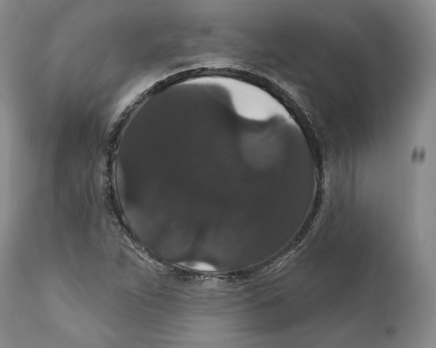 X0000111911263200908241018