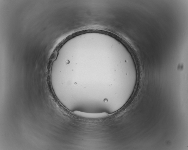 X0000111911264200908241018