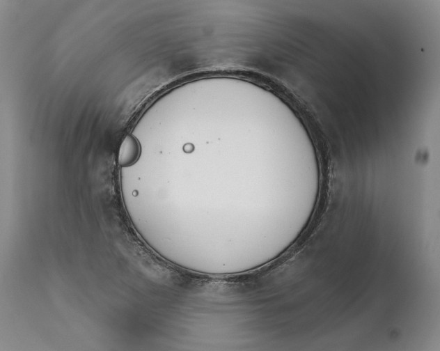 X0000111911265200908241018