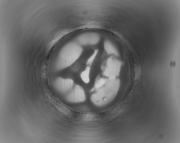 X0000111911266200908241018