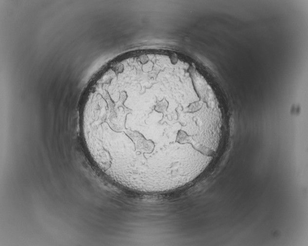 X0000111911267200908241018