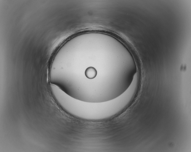 X0000111911269200908241018