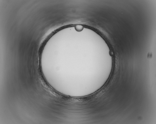 X0000111911270200908241018