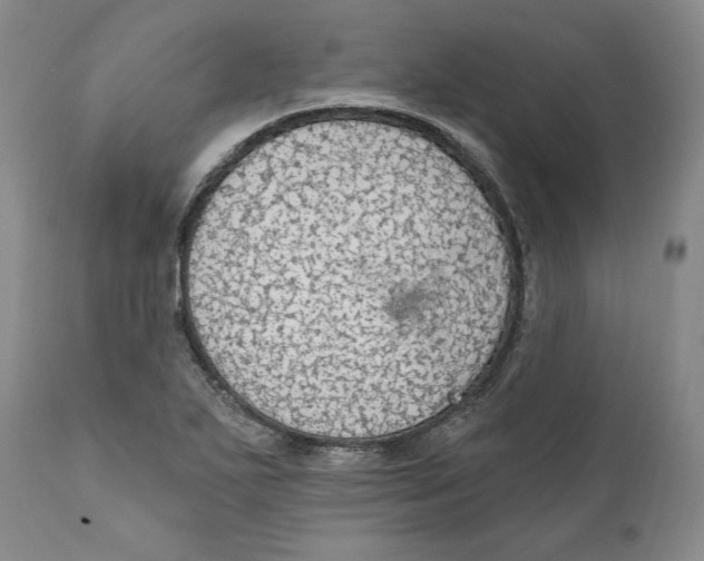 X0000111911271200908241018