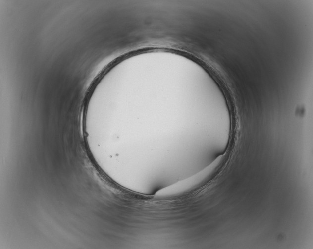 X0000111911272200908241018