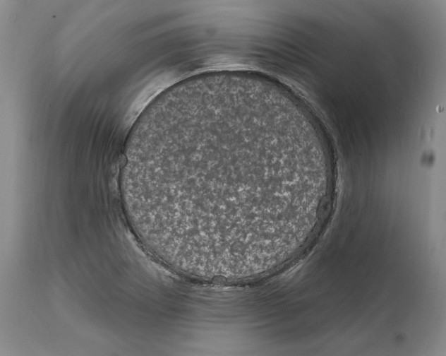 X0000111911273200908241018