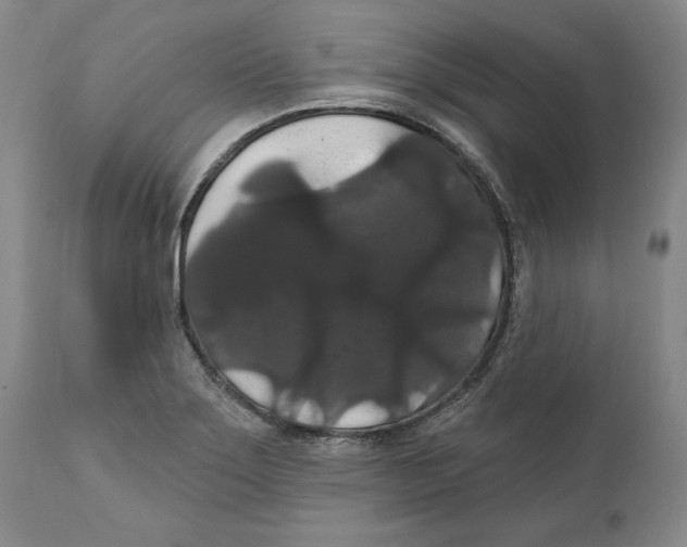 X0000111911275200908241018