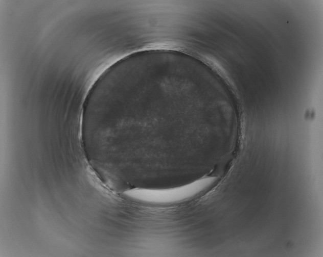 X0000111911276200908241018