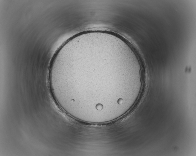 X0000111911277200908241018