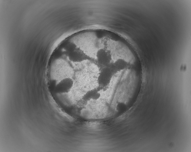 X0000111911278200908241018