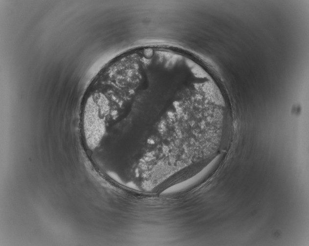 X0000111911279200908241018
