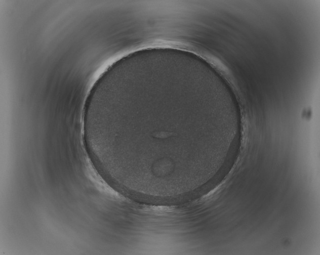 X0000111911280200908241018