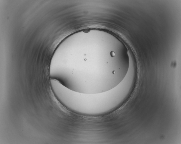 X0000111911281200908241018