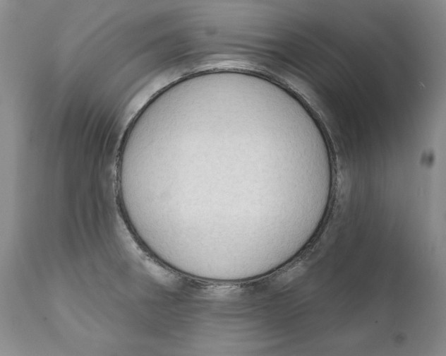 X0000111911282200908241018