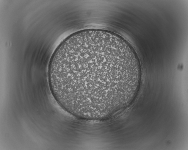 X0000111911283200908241018