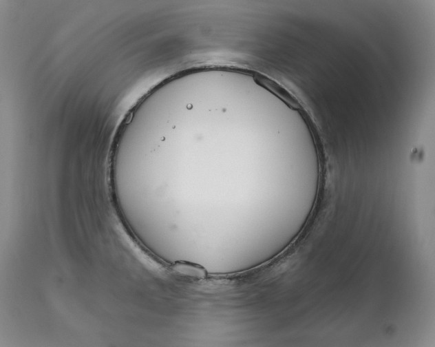 X0000111911285200908241018