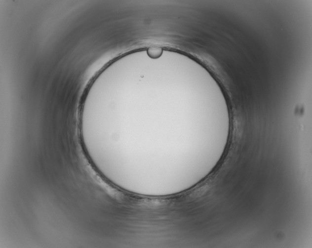 X0000111911286200908241018