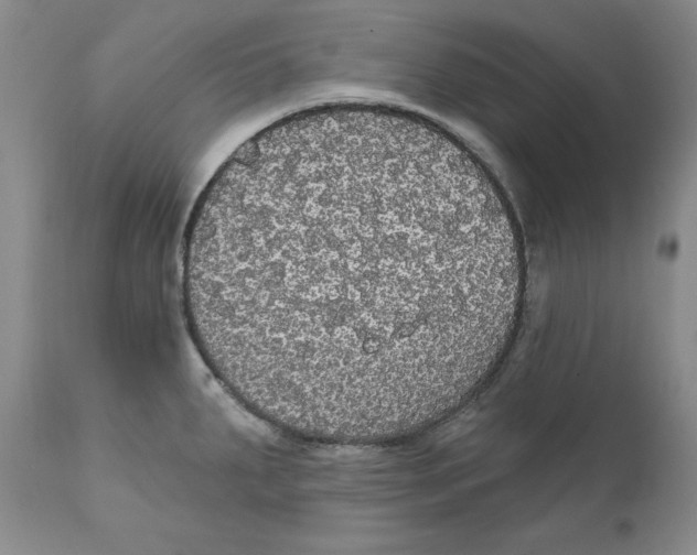 X0000111911287200908241018