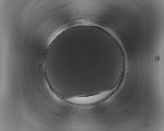 X0000111911289200908241018