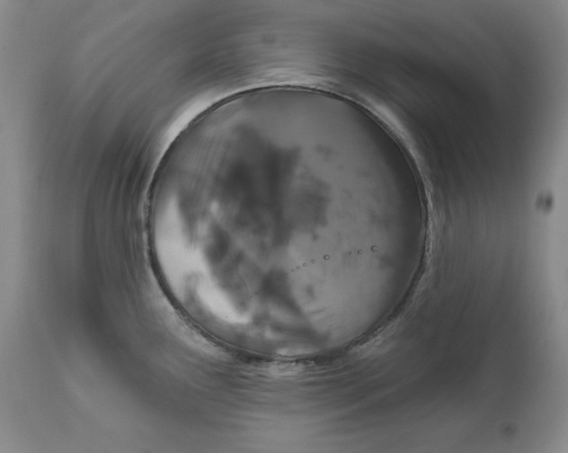 X0000111911291200908241018
