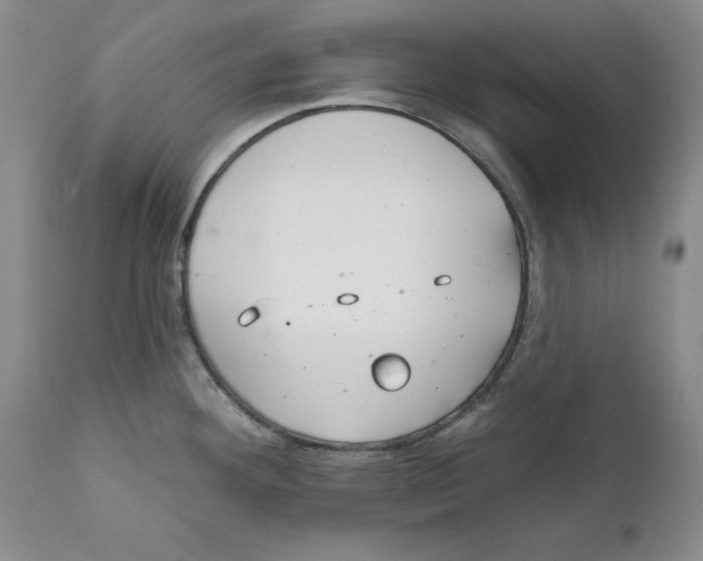 X0000111911292200908241018