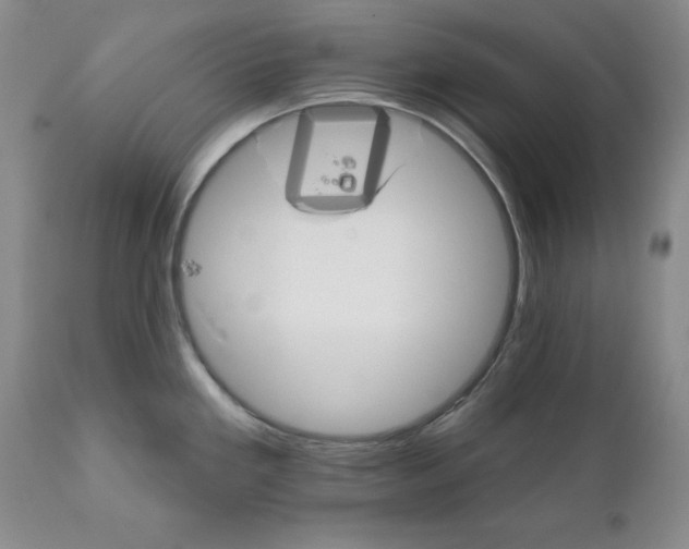 X0000111911293200908241018