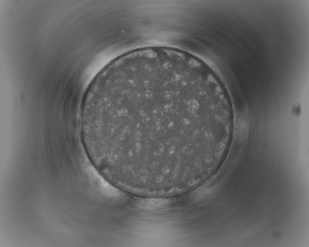 X0000111911294200908241018