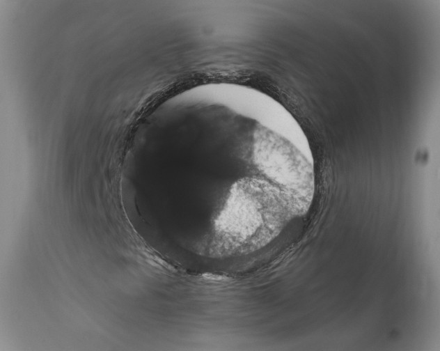 X0000111911297200908241017