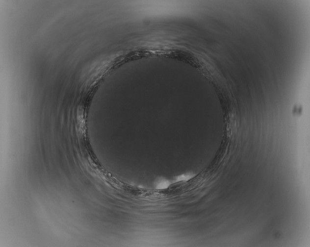 X0000111911298200908241017