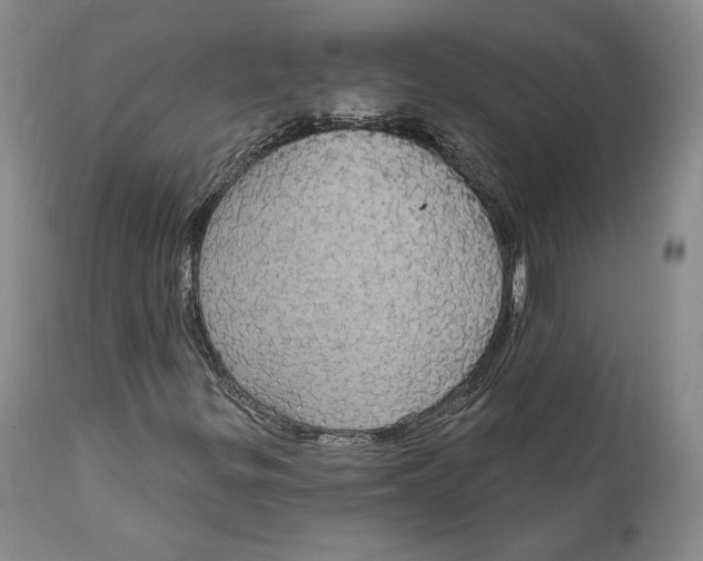 X0000111911299200908241017