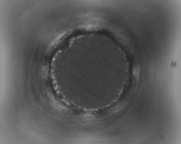 X0000111911300200908241017
