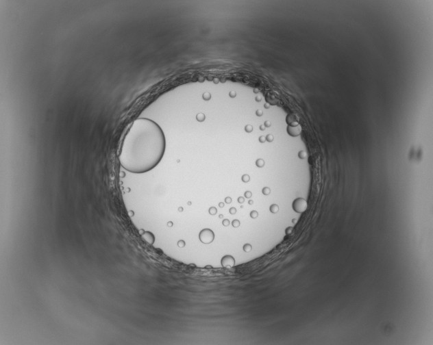 X0000111911301200908241017