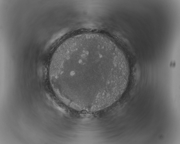 X0000111911302200908241017