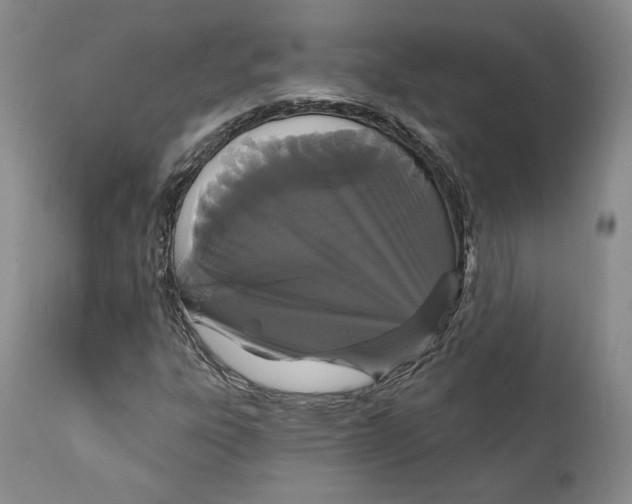 X0000111911303200908241017