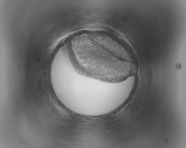 X0000111911304200908241017