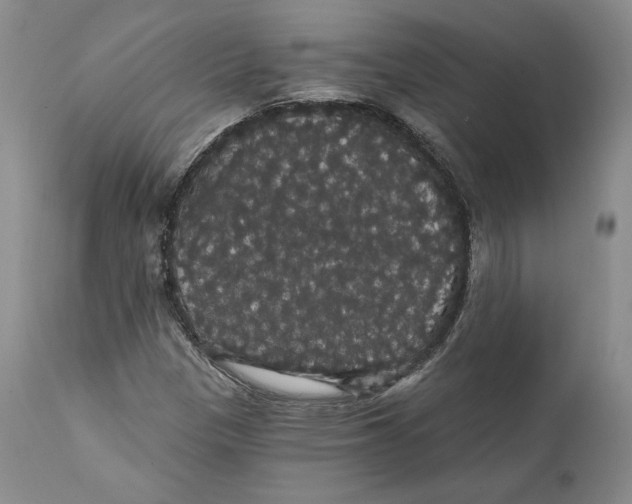 X0000111911305200908241017
